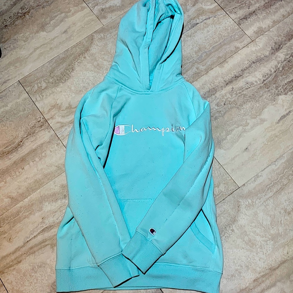 teal champion sweater